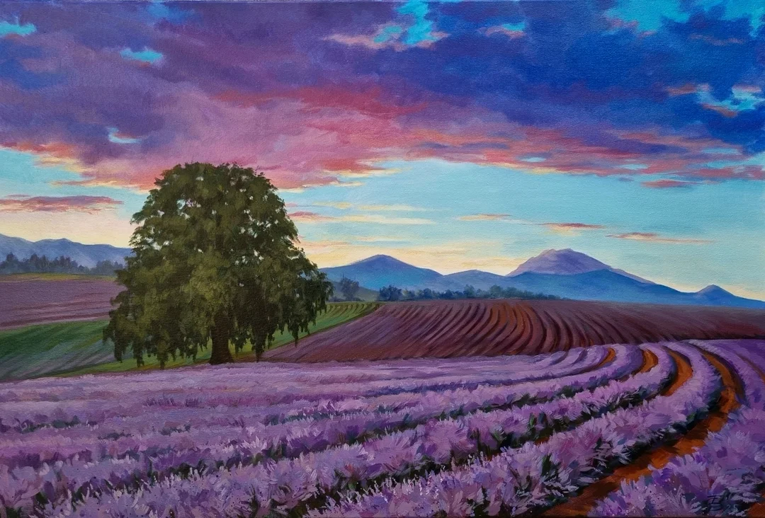 Lavender Solitude - 1