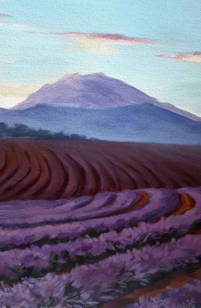 Lavender Solitude - 2