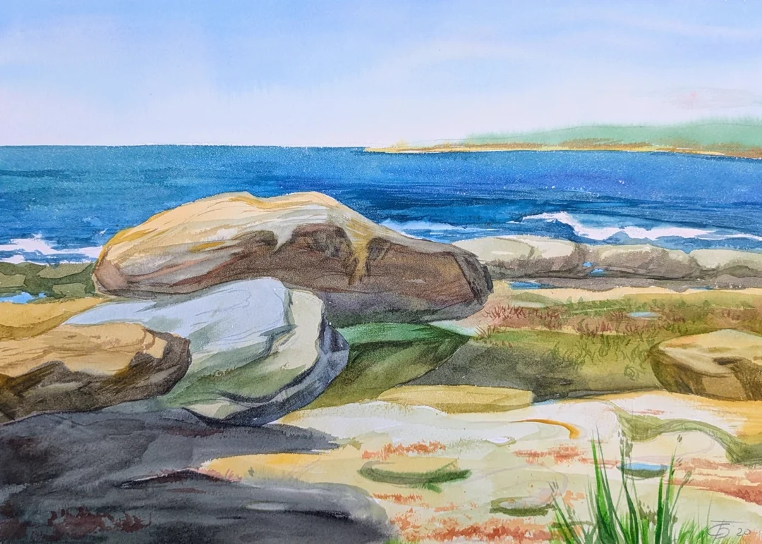 Cronulla rocky shore  - 1