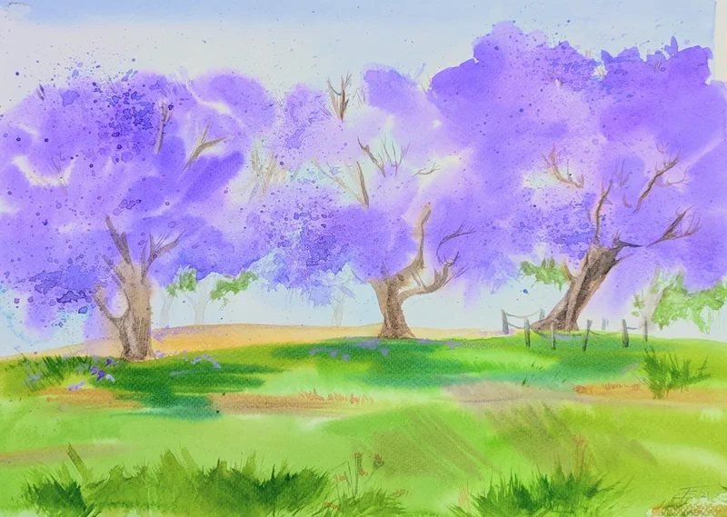 Jacaranda study