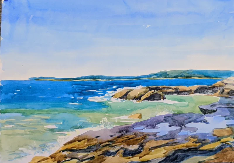 Oak Park beach 