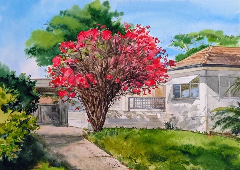 Red tree (Gymea)