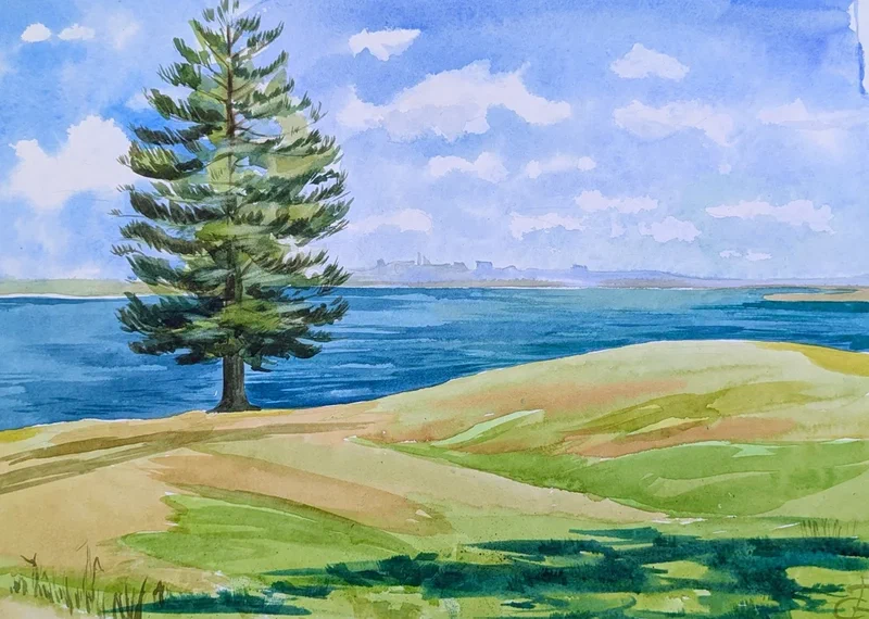 Where the Tree Meets the Sea